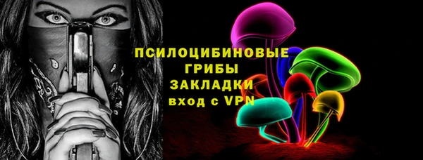 дмт Богданович