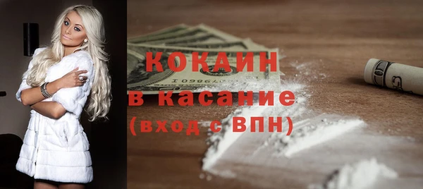 дмт Богданович