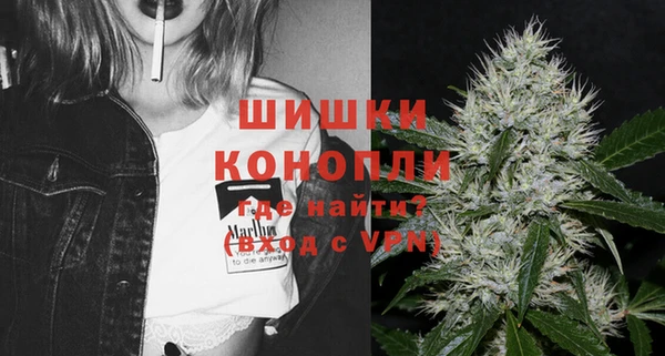 дживик Богородск