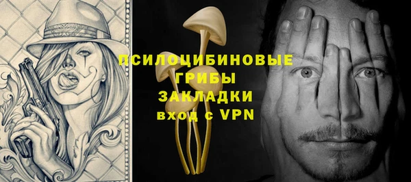 ПСИЛОЦИБИНОВЫЕ ГРИБЫ Беломорск