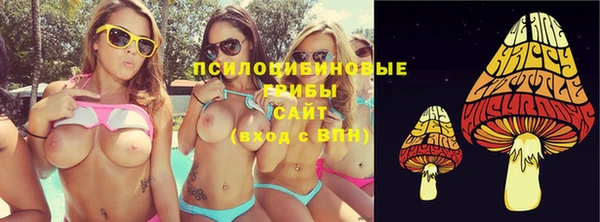МДМА Белокуриха