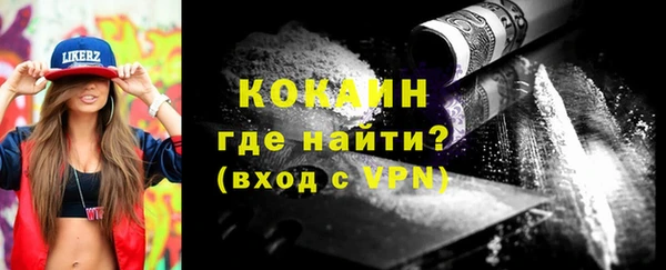 дживик Богородск
