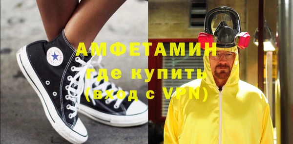 дмт Богданович