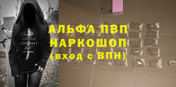 дмт Богданович