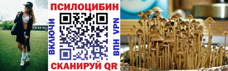 Псилоцибиновые грибы Psilocybine cubensis  Богучар 